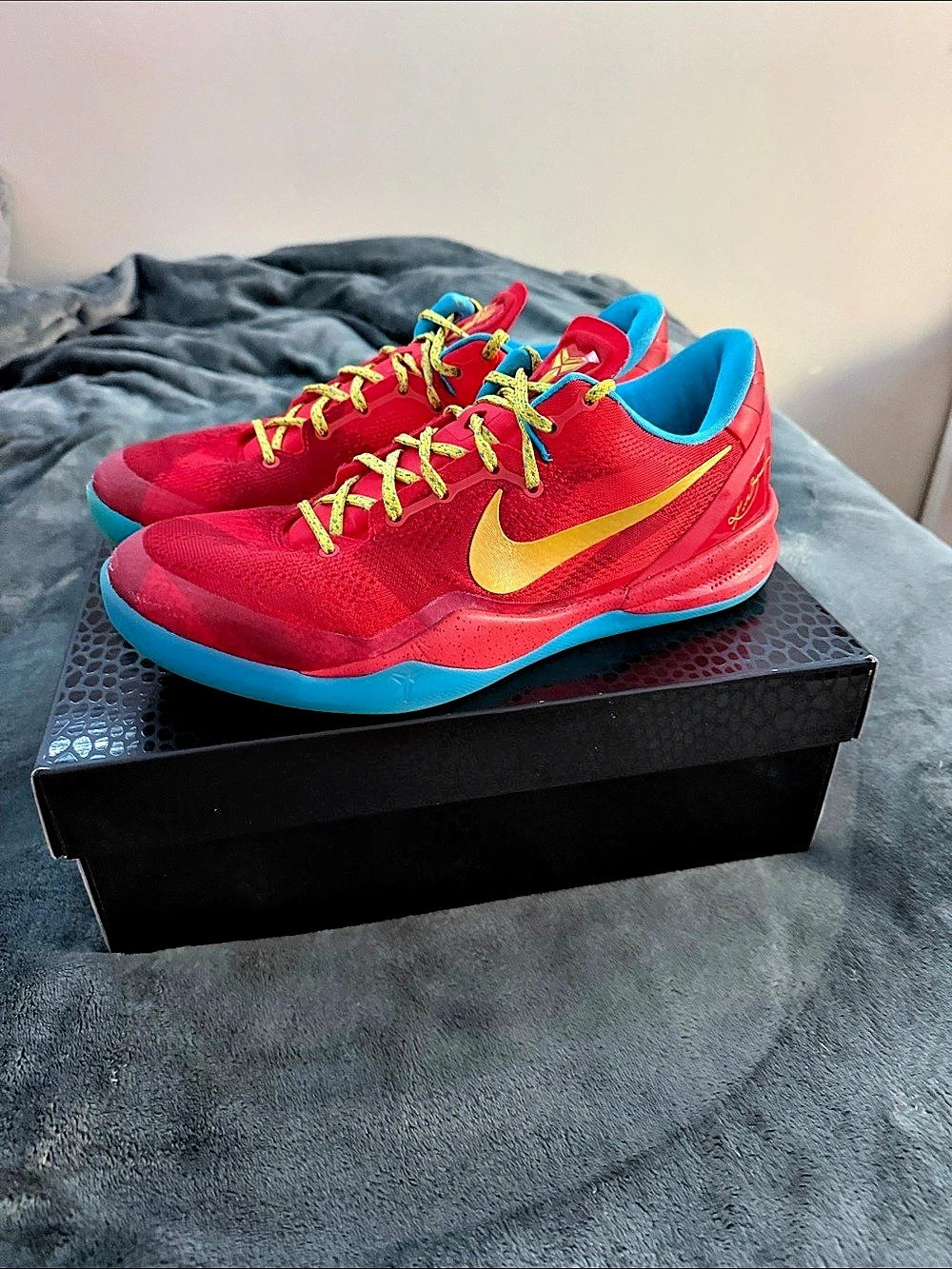Kobe 8 Protro Year of the Horse 2026